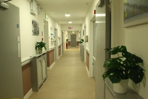 Warm welcoming corridor with plants and artwork at Chestnut Rise Nursing Home Rossington